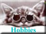 Hobbies