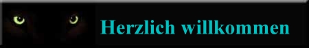 LauserHome